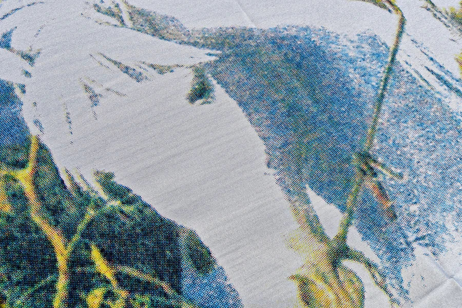 American Indian Coffin Drape image 2