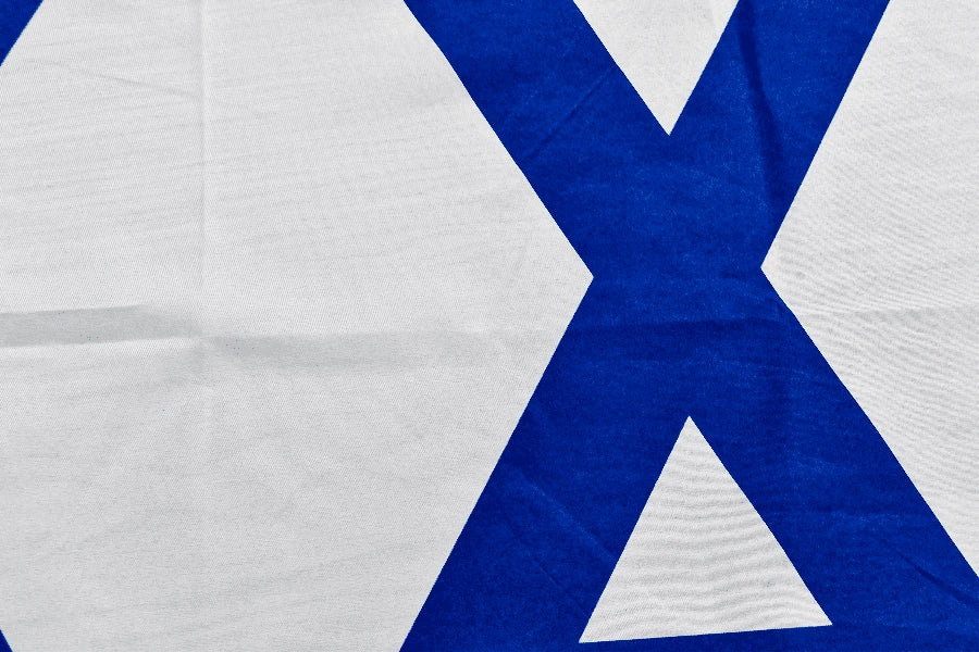Israel Coffin Drape image 3