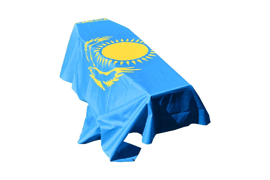 Kazakhstan Coffin Drape image 0