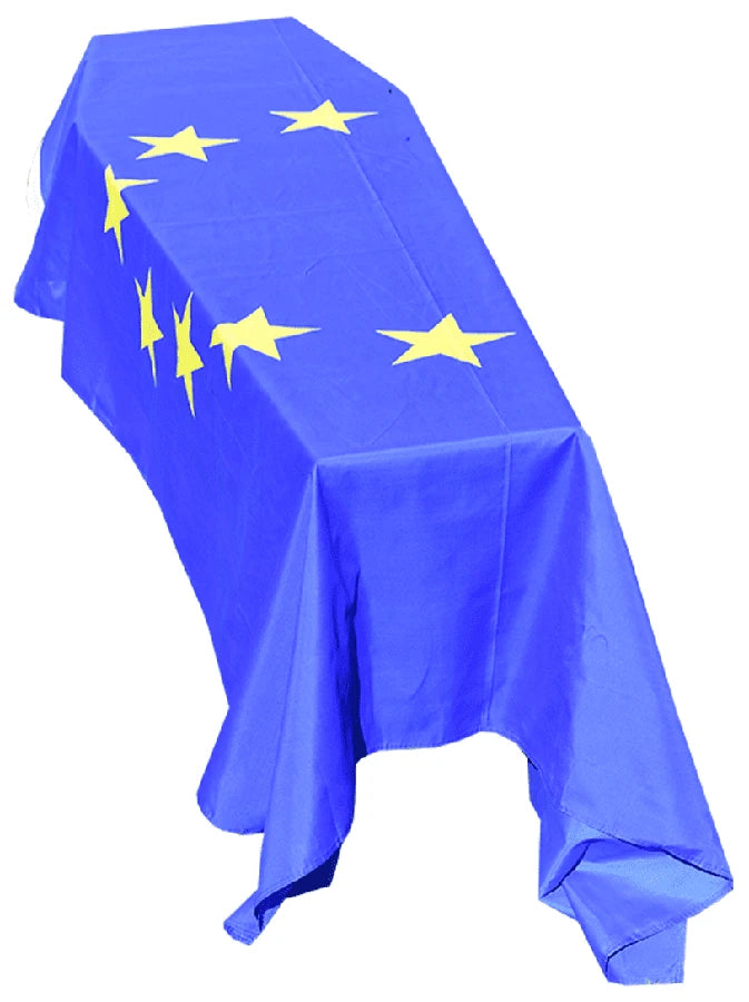 European Union Coffin Drape image 0