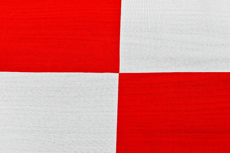 Red and White Checkered Coffin Drape image 3