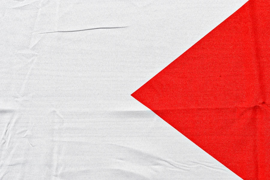 Palestine Coffin Drape image 3