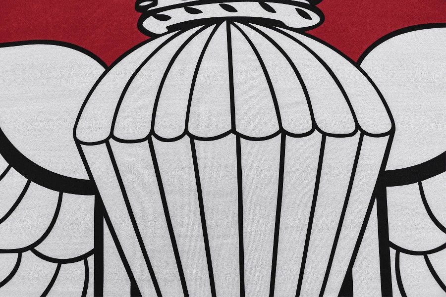 Parachute Regiment Coffin Drape image 3