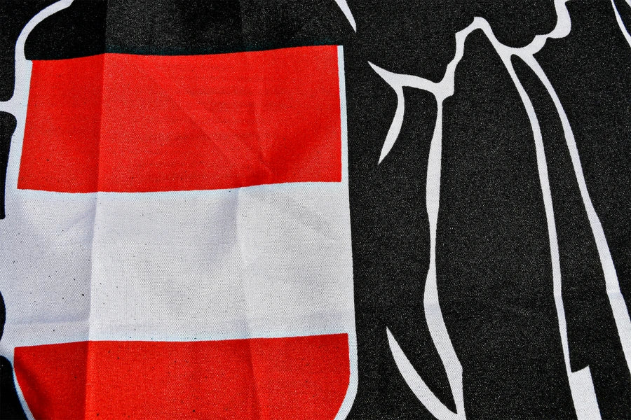 Austria State Coffin Drape image 3