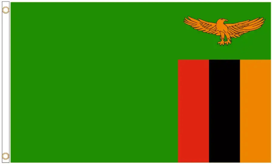 Zambia Coffin Drape image 3