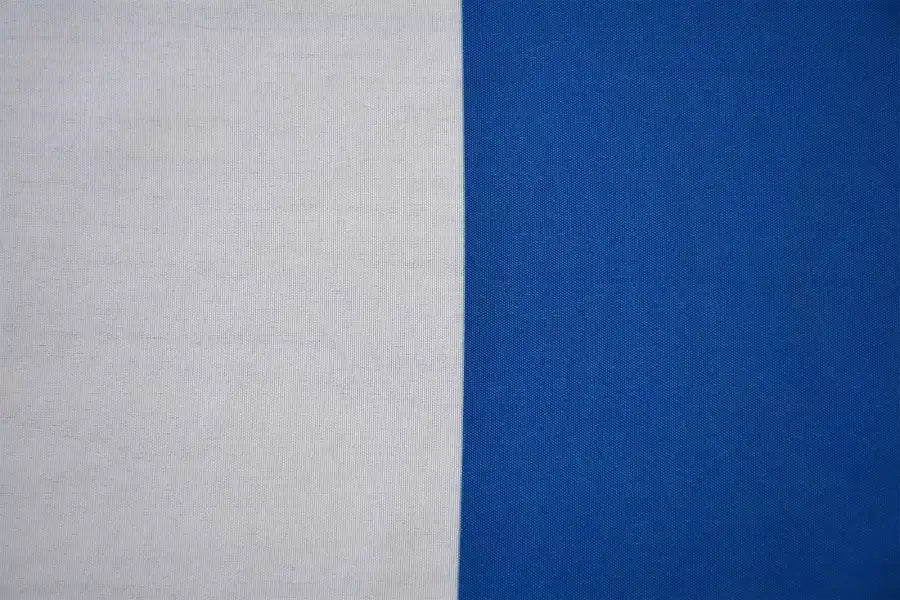 Blue and White Striped Coffin Drape image 2