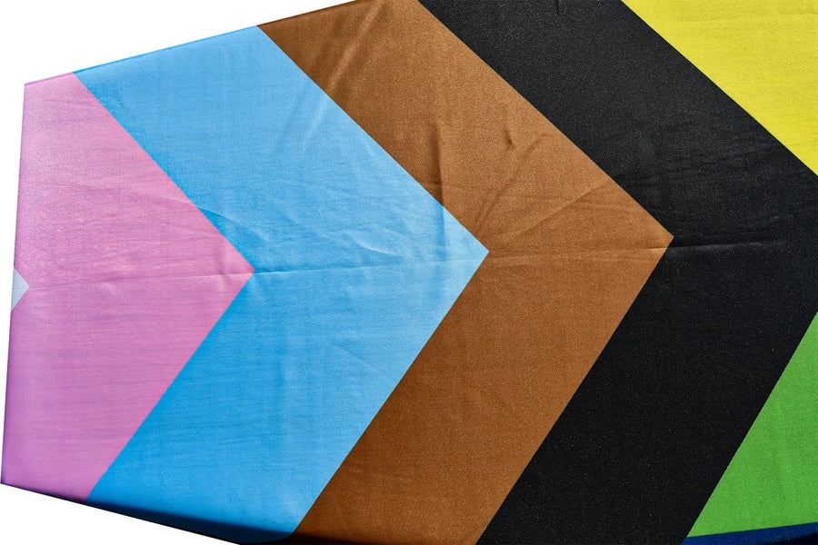 Progress Pride Coffin Drape image 2