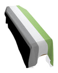 Aromantic Pride Premium Coffin Drape image 0
