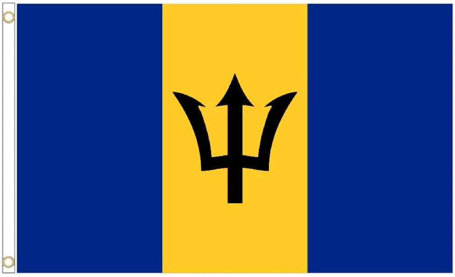 Barbados Coffin Drape image 4