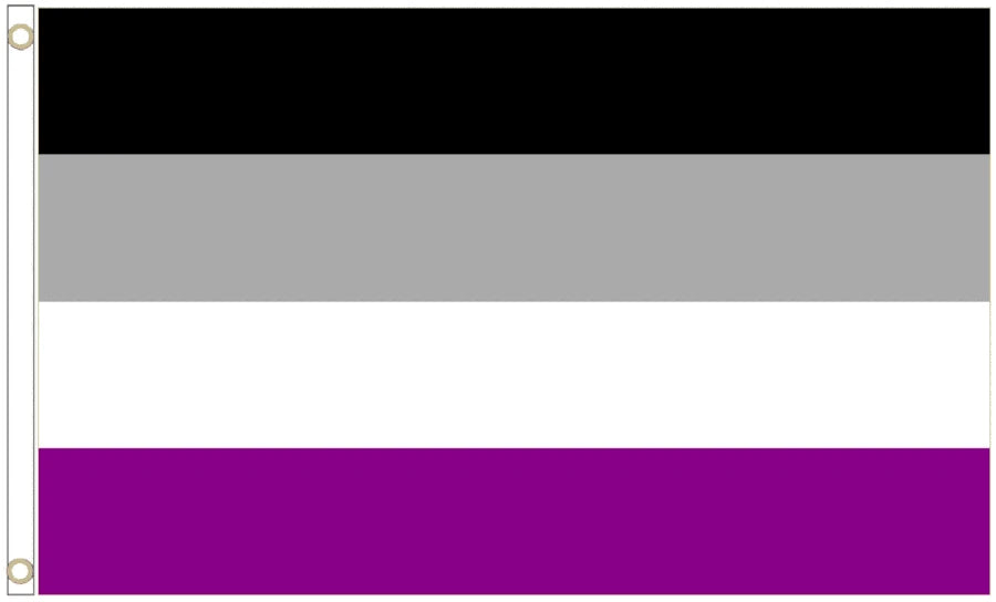 Asexual Pride Coffin Drape image 4