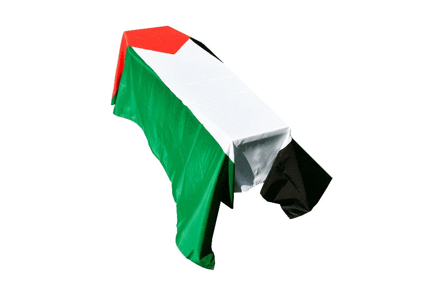 Palestine Coffin Drape image 0
