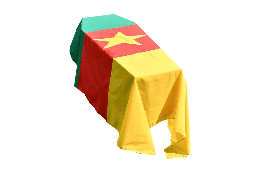 Cameroon Coffin Drape image 0