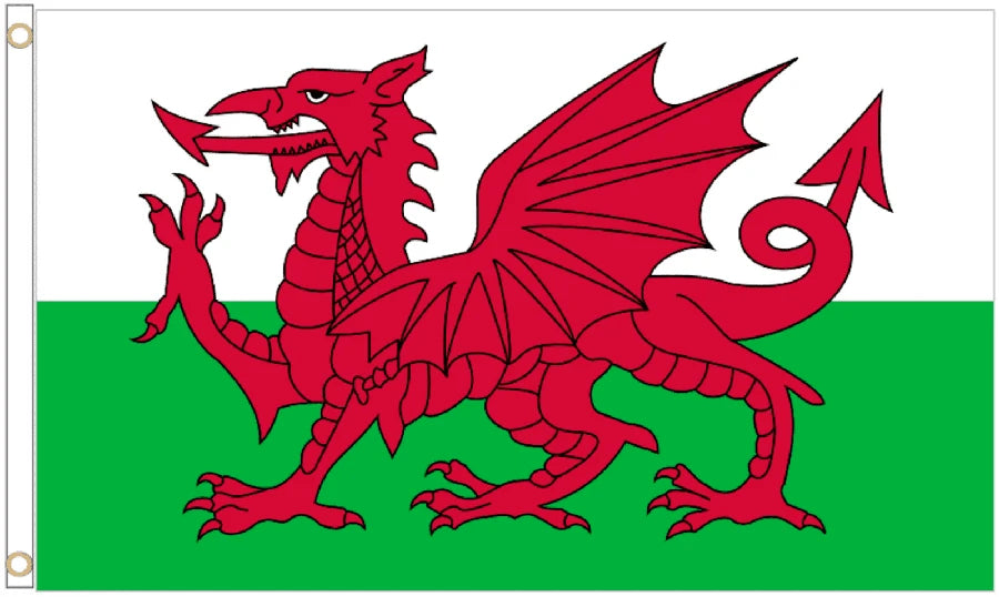 Wales Coffin Drape image 4