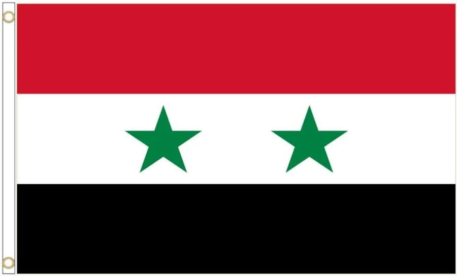 Syria Coffin Drape image 4
