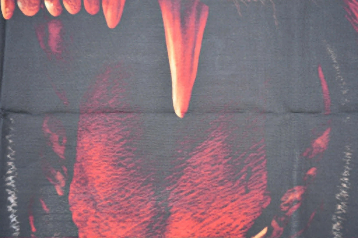 England Lion Coffin Drape image 4